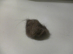 抜けた毛の塊