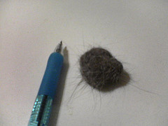 ボールペンと大きさ比べ