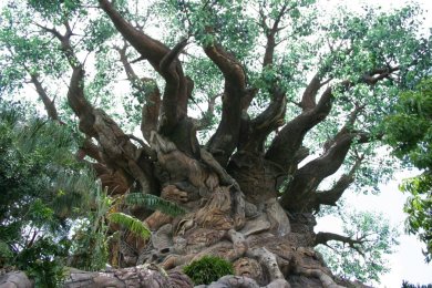 ツリー・オブ・ライフ